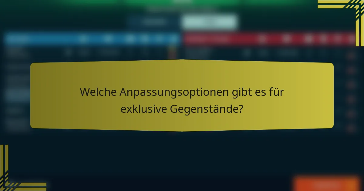 Welche Anpassungsoptionen gibt es für exklusive Gegenstände?